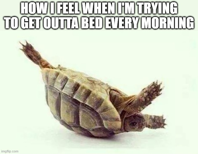that feeling! | how i feel when I'm trying to get outta bed every morning | image tagged in memes | made w/ Imgflip meme maker