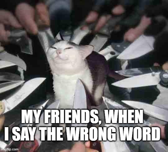 Knife Cat | My friends, when I say the wrong word | image tagged in knife cat,my friends and i be like,friends,friendship | made w/ Imgflip meme maker