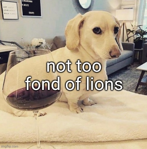 Homophobic Dog | not too fond of lions | image tagged in homophobic dog | made w/ Imgflip meme maker