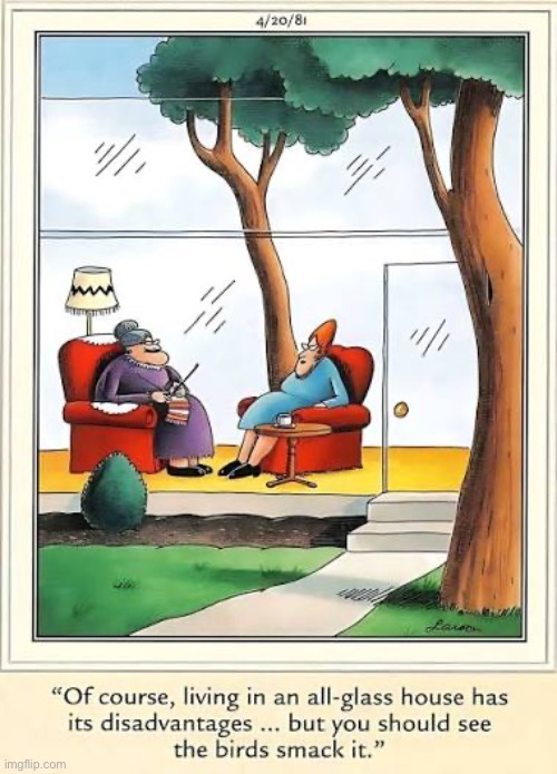 I’ll bet she spends a fortune on glass cleaner… | image tagged in the far side,comics,old ladies,glass house,birds,smack | made w/ Imgflip meme maker