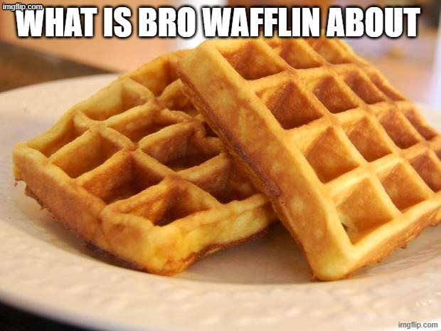 bro wafflin about | image tagged in bro wafflin about | made w/ Imgflip meme maker