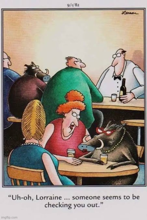 The guy turned out to be a real boar… | image tagged in the far side,comics,bar,boars,checking you out,uh oh | made w/ Imgflip meme maker
