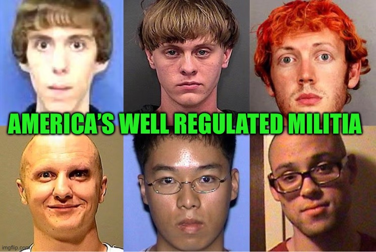 IMG_9067.jpeg | America’s well regulated militia | image tagged in img_9067 jpeg | made w/ Imgflip meme maker