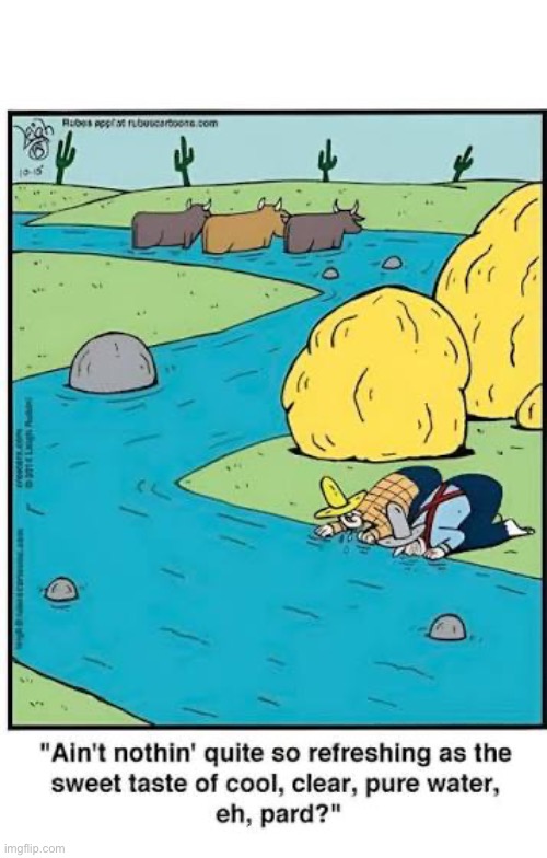Rubes | image tagged in comics,rubes,stream,cattle,clean water,unbeknownst | made w/ Imgflip meme maker