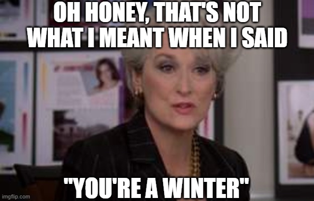 Devil Wears Prada Florals | oh honey, that's not what I meant when I said "you're a winter" | image tagged in devil wears prada florals | made w/ Imgflip meme maker