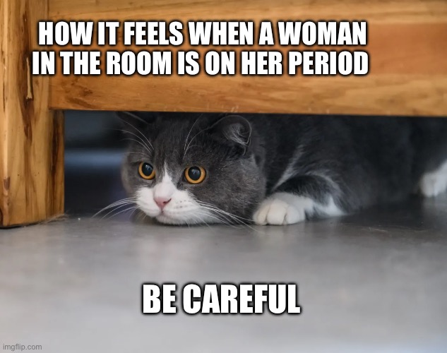 Hiding for my safety | How it feels when a woman in the room is on her period; Be careful | image tagged in lol | made w/ Imgflip meme maker