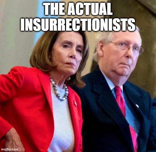 Pelosi & McConnell | the actual insurrectionists | image tagged in pelosi mcconnell | made w/ Imgflip meme maker