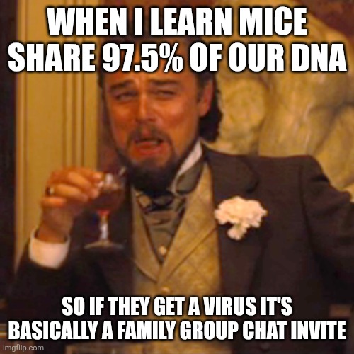 Laughing Leo | WHEN I LEARN MICE SHARE 97.5% OF OUR DNA; SO IF THEY GET A VIRUS IT'S BASICALLY A FAMILY GROUP CHAT INVITE | image tagged in memes,laughing leo | made w/ Imgflip meme maker