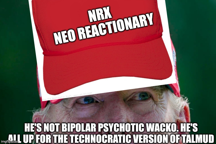trump maga hat | NRx 
Neo reactionary; He's not bipolar psychotic wacko. He's all up for the technocratic version of Talmud | image tagged in trump maga hat | made w/ Imgflip meme maker