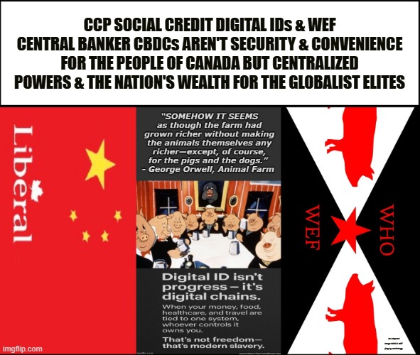 Globalists Digital IDs & CBDCs aren't for the People | CCP SOCIAL CREDIT DIGITAL IDs & WEF CENTRAL BANKER CBDCs AREN'T SECURITY & CONVENIENCE FOR THE PEOPLE OF CANADA BUT CENTRALIZED POWERS & THE NATION'S WEALTH FOR THE GLOBALIST ELITES; An Adapted Image WHO & WEF flag by vexillology | made w/ Imgflip meme maker