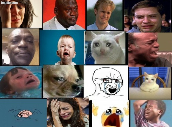 The whole squad crying | image tagged in the whole squad crying | made w/ Imgflip meme maker