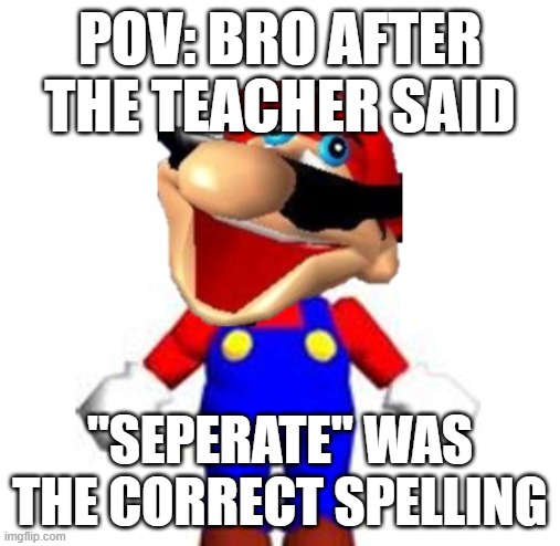 That face you make when | pov: bro after the teacher said; "seperate" was the correct spelling | image tagged in smg4 silly mario,that face you make when | made w/ Imgflip meme maker