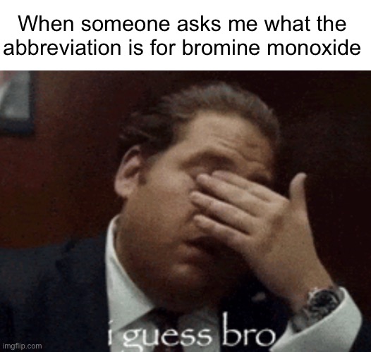 Scoince | When someone asks me what the abbreviation is for bromine monoxide | image tagged in i guess bro | made w/ Imgflip meme maker