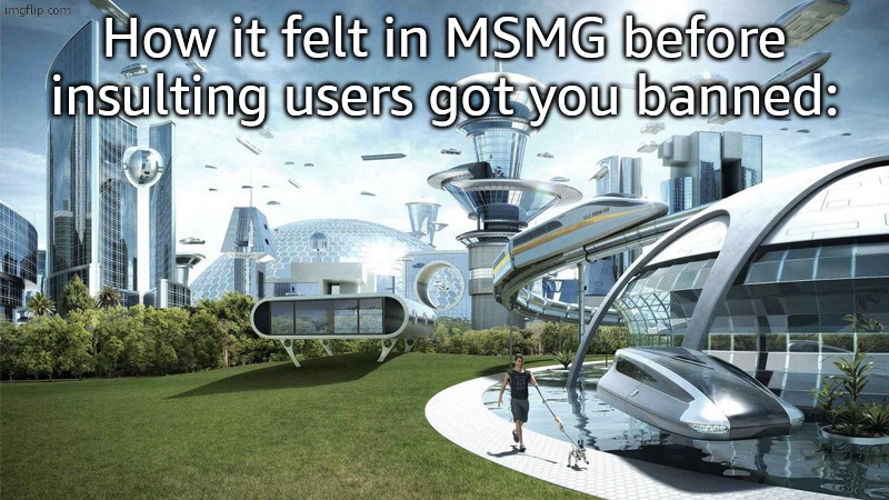 this post will probably get me banned lmao, sensitive ahh mods | How it felt in MSMG before insulting users got you banned: | image tagged in the future world if | made w/ Imgflip meme maker