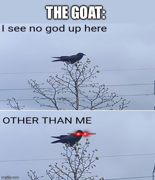 I see no god up here other than me | The goat: | image tagged in i see no god up here other than me | made w/ Imgflip meme maker