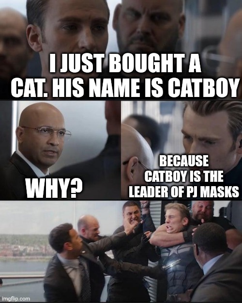 I like Catboy in PJ Masks | I just bought a cat. His name is Catboy; Why? Because Catboy is the leader of PJ Masks | image tagged in captain america elevator fight dad joke,memes,funny | made w/ Imgflip meme maker