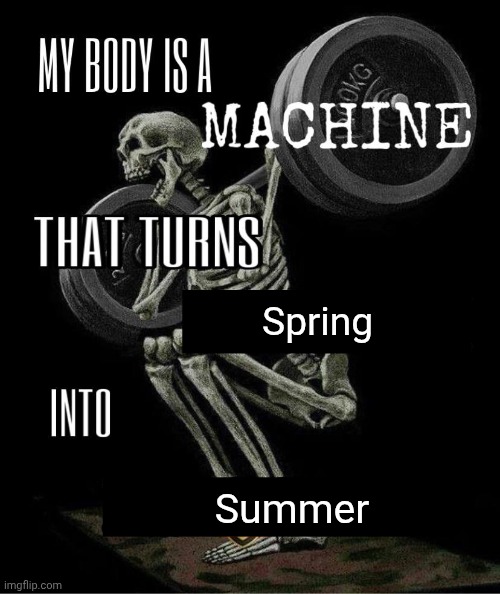Spring | Spring; Summer | image tagged in my body is machine,memes,spring,summer | made w/ Imgflip meme maker