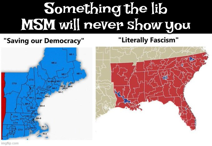 Something the lib MSM will never show you | Something the lib MSM will never show you | image tagged in decades of dem gerrymandering | made w/ Imgflip meme maker