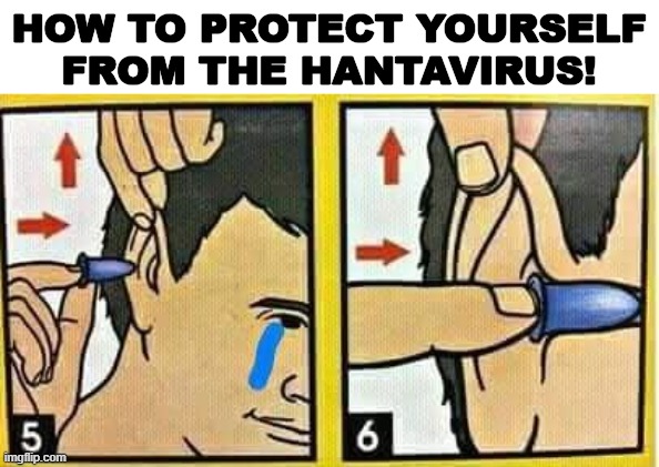 ear plugs | How to protect yourself from the hantavirus! | image tagged in ear plugs,democrats,virus,rats | made w/ Imgflip meme maker