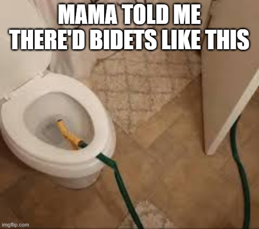 Mama told me there'd be days like these.     --  funny  -- | Mama told me there'd bidets like this | image tagged in funny,humor,play on words,toilet,toilet humor,bidet | made w/ Imgflip meme maker