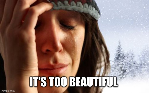 1st World Canadian Problems Meme | It's too beautiful | image tagged in memes,1st world canadian problems | made w/ Imgflip meme maker