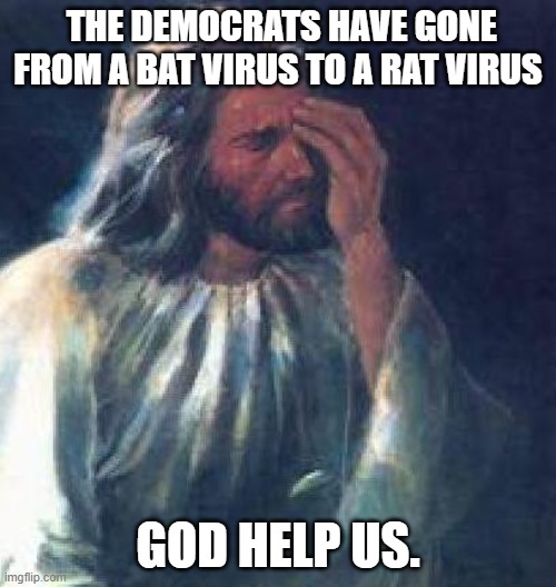 Now a Word from Jesus. lol | the democrats have gone from a bat virus to a rat virus; god help us. | image tagged in jesus facepalm,democrats,rats,bats,corona virus | made w/ Imgflip meme maker