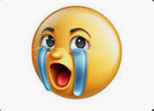 cry face Blank Meme Template