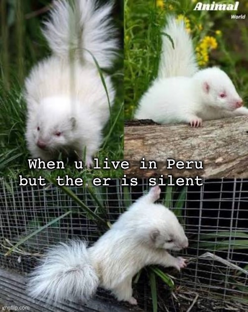 When u live in Peru but the er is silent | image tagged in skunk | made w/ Imgflip meme maker