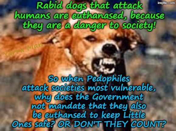 Rabid Dogs are euthansed because they are a danger to humans! So why not do the same to Pedophiles? | Rabid dogs that attack humans are euthanased, because they are a danger to society! Yarra Man; So when Pedophiles attack societies most vulnerable, why does the Government not mandate that they also be euthansed to keep Little Ones safe? OR DON'T THEY COUNT? | image tagged in pedophiles priests politicians magistrates judges hollywood,paedophiles children little ones,australia europe uik eiu,canada | made w/ Imgflip meme maker
