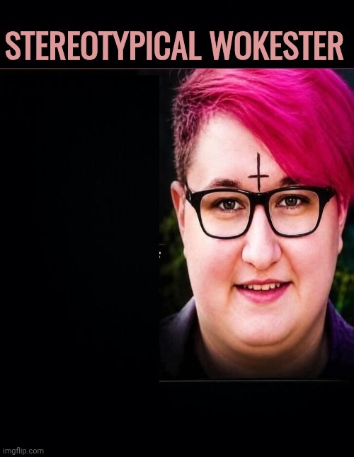 Wokester Stereotype Blank Meme Template