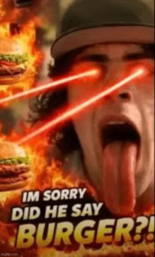 did he say burger | image tagged in did he say burger | made w/ Imgflip meme maker
