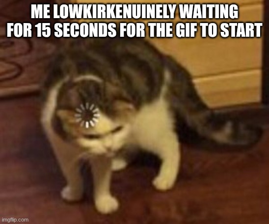 Loading cat | me lowkirkenuinely waiting for 15 seconds for the gif to start | image tagged in loading cat | made w/ Imgflip meme maker