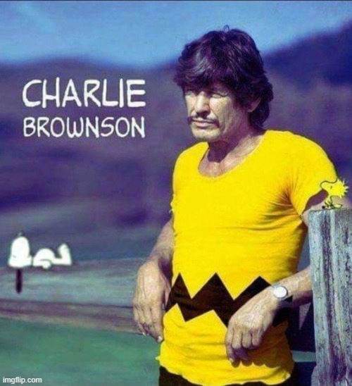 Peanuts Meets Coconuts | image tagged in vince vance,charlie brown,charles bronson,peanuts,cartoons,memes | made w/ Imgflip meme maker