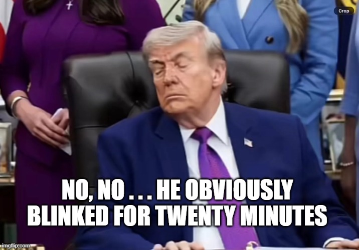 bafkreieq6qvievr4zdblink.webp | No, no . . . he obviously blinked for twenty minutes | image tagged in trump,sleeping,failure | made w/ Imgflip meme maker
