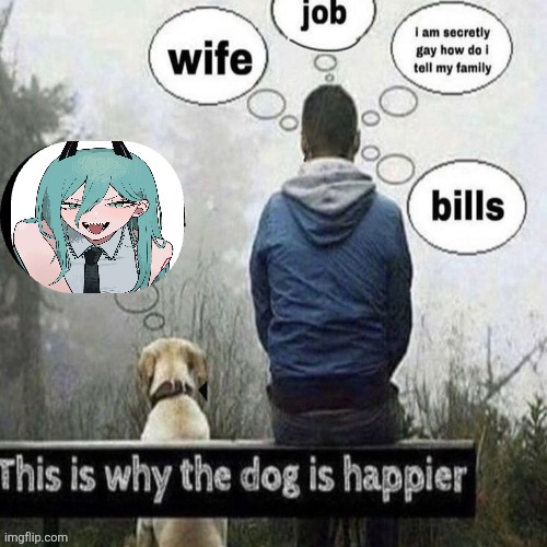 This is why the dog is happier | image tagged in this is why the dog is happier | made w/ Imgflip meme maker