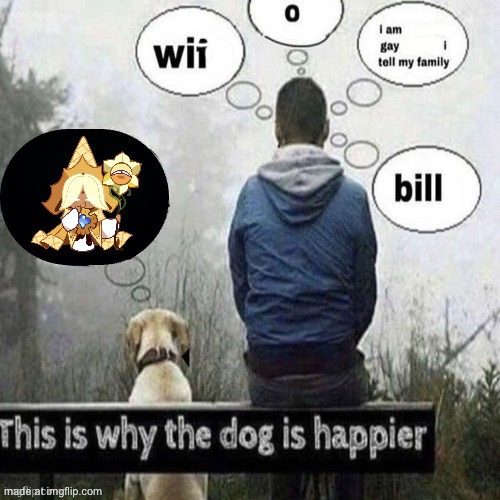 Why | image tagged in this is why the dog is happier | made w/ Imgflip meme maker