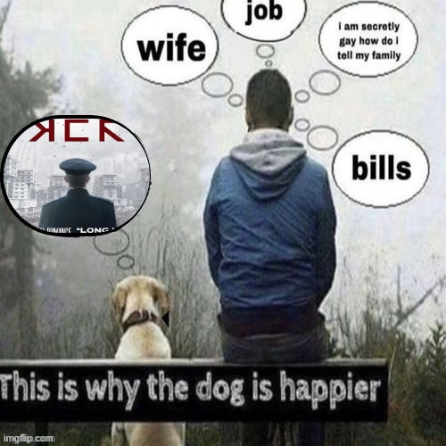 This is why the dog is happier | image tagged in this is why the dog is happier | made w/ Imgflip meme maker