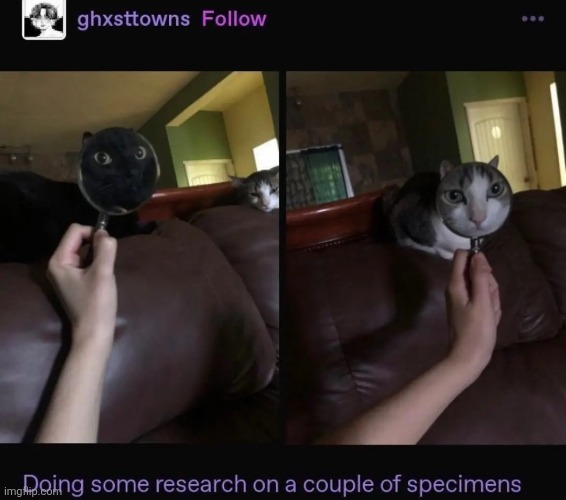 Screenshot_20241122_072127_YouTube.jpg | image tagged in screenshot_20241122_072127_youtube jpg | made w/ Imgflip meme maker