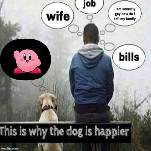 This is why the dog is happier | image tagged in this is why the dog is happier | made w/ Imgflip meme maker