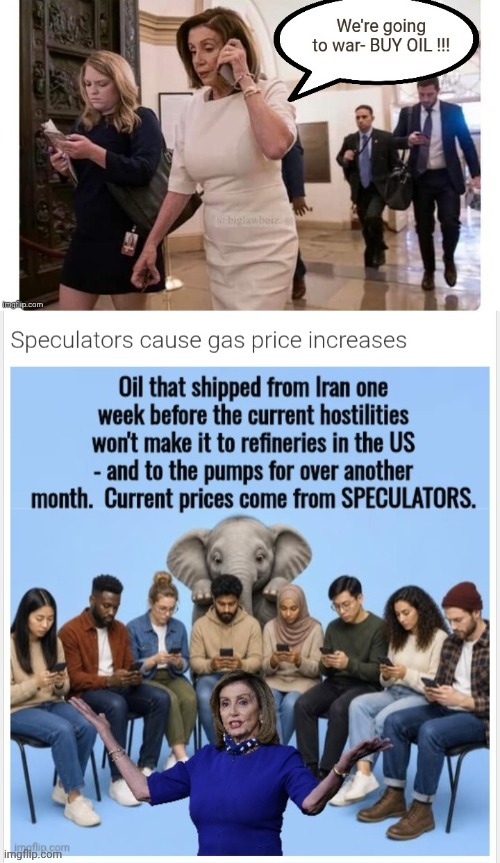 Pelosi Speculator | image tagged in pelosi speculator | made w/ Imgflip meme maker