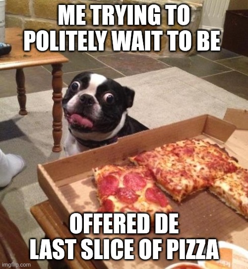 Hungry Pizza Dog | Me trying to politely wait to be; Offered de last slice of pizza | image tagged in hungry pizza dog | made w/ Imgflip meme maker