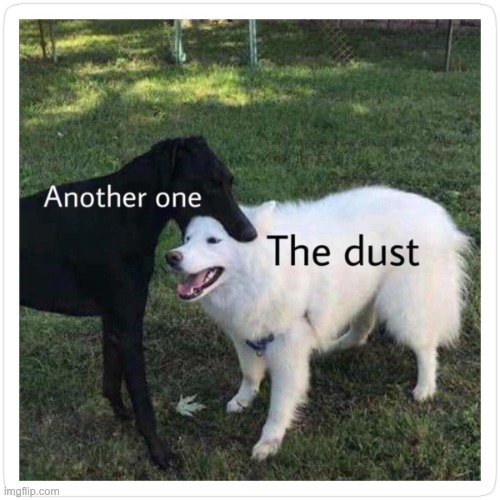 another bites the dust | image tagged in another one bites the dust,doge,dogs,funny dogs,fun | made w/ Imgflip meme maker