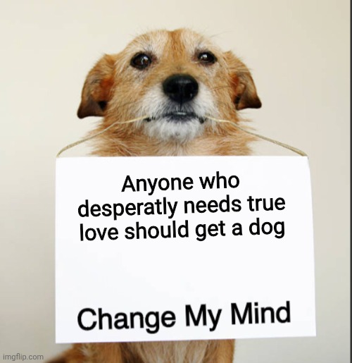 Change My Mind Dog | Anyone who desperatly needs true love should get a dog | image tagged in change my mind dog | made w/ Imgflip meme maker