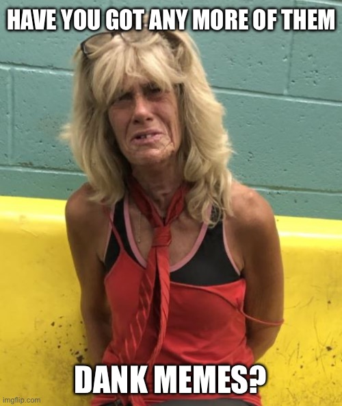 Dank Meme Addiction | Have you got any more of them Dank memes? | image tagged in old woman meth addict arrest mugshot,dank memes,addiction,y'all got any more of them | made w/ Imgflip meme maker