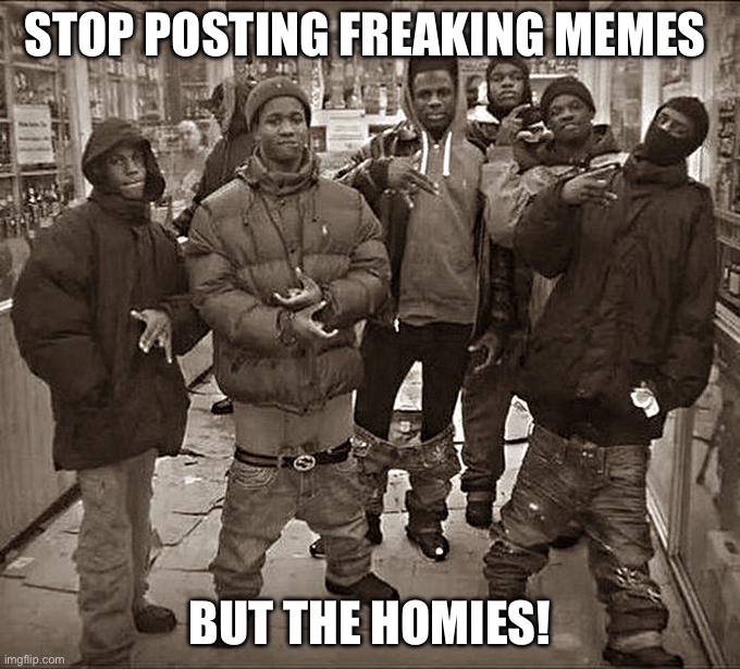All My Homies Hate | STOP POSTING FREAKING MEMES; BUT THE HOMIES! | image tagged in all my homies hate | made w/ Imgflip meme maker