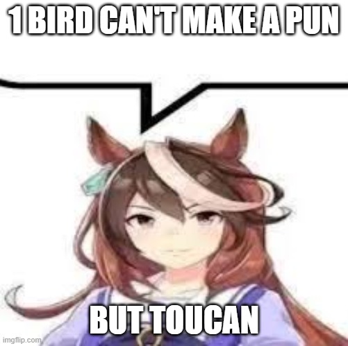 1 bird can't make a pun; but toucan | made w/ Imgflip meme maker