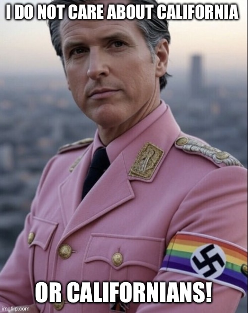 Gavin Newsom | I do not care about California; Or Californians! | image tagged in gavin newsom | made w/ Imgflip meme maker