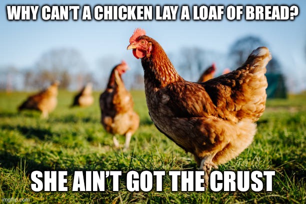 Mmm bread | Why can’t a chicken lay a loaf of bread? She ain’t got the crust | image tagged in chicken,bread,crust | made w/ Imgflip meme maker