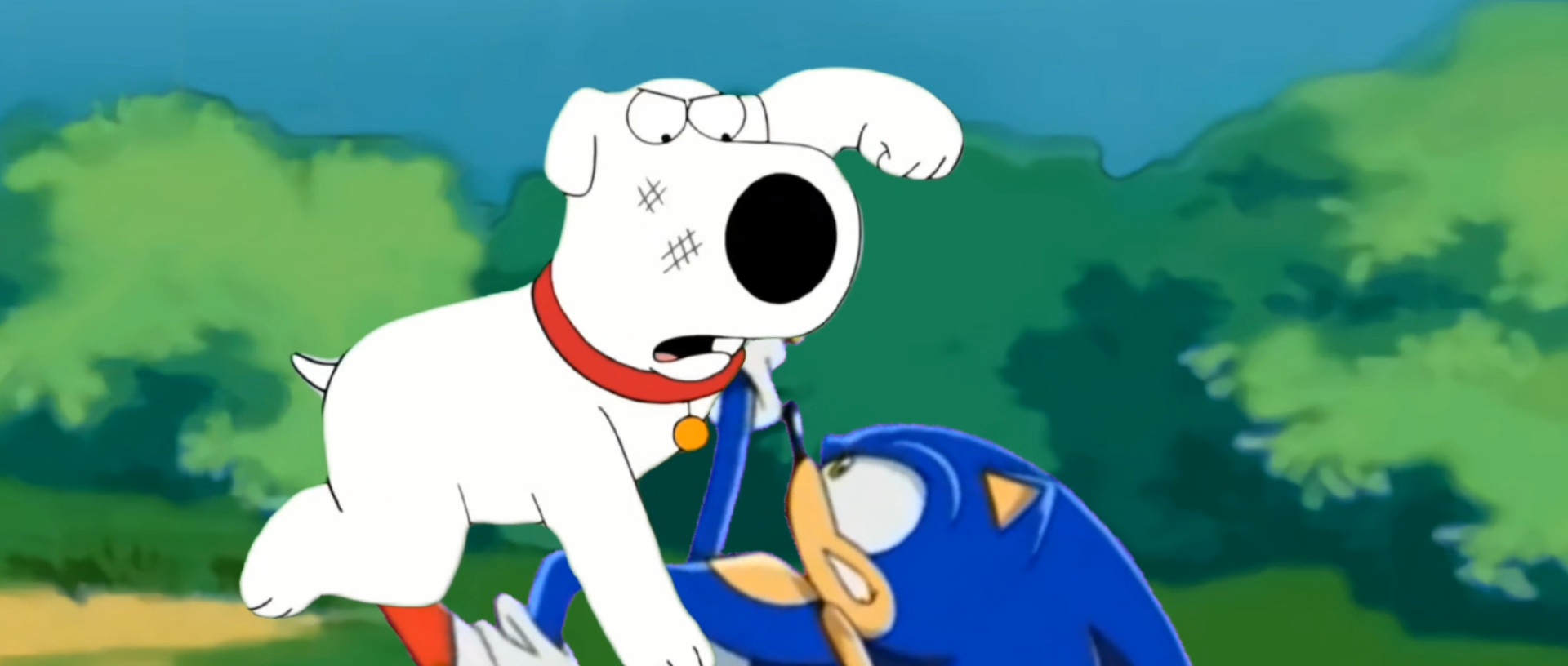 Brian vs Sonic Blank Meme Template