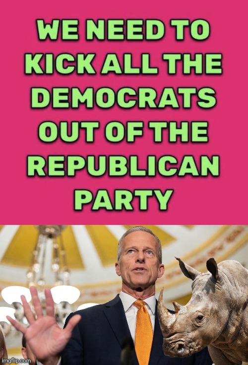 Kick RINOs out | image tagged in img 50 jpeg,john thune,rhino | made w/ Imgflip meme maker